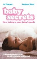 bokomslag Baby Secrets