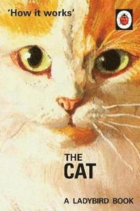 bokomslag How it Works: The Cat