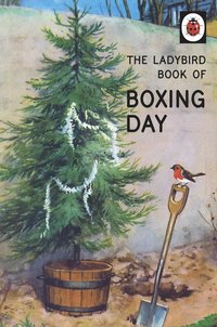 bokomslag The Ladybird Book of Boxing Day