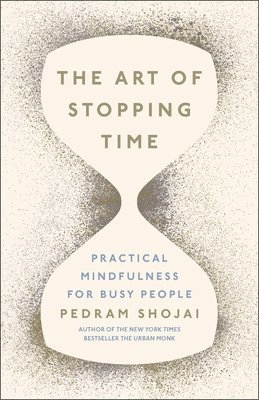 bokomslag Art of Stopping Time