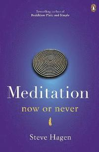 bokomslag Meditation Now or Never