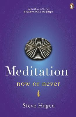 Meditation Now or Never 1