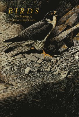 Terance James Bond - Birds, Inbunden