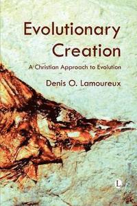 bokomslag Evolutionary Creation