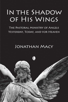 Jonathan Macy - In the Shadow of his Wings, Häftad