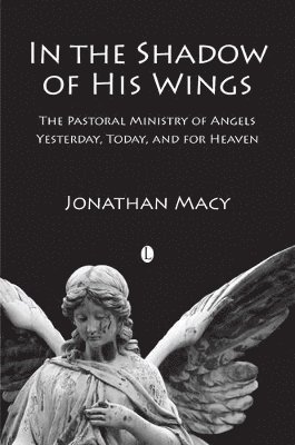 Jonathan Macy - In the Shadow of his Wings, Häftad