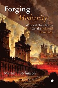 bokomslag Forging Modernity