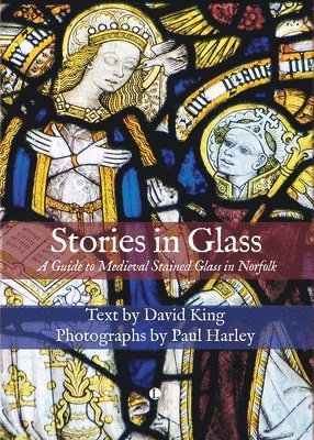 David King, Paul Harley - Stories in Glass, Inbunden