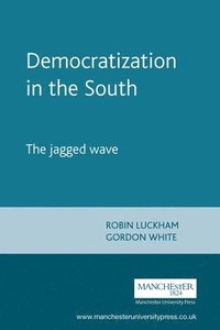 bokomslag Democratization in the South