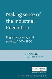 bokomslag Making Sense of the Industrial Revolution