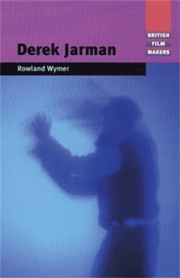 bokomslag Derek Jarman