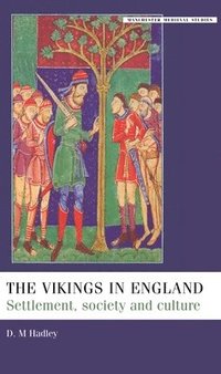 bokomslag The Vikings in England