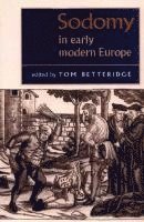 bokomslag Sodomy in Early Modern Europe