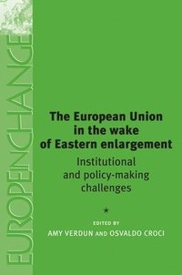 bokomslag The European Union in the Wake of Eastern Enlargement