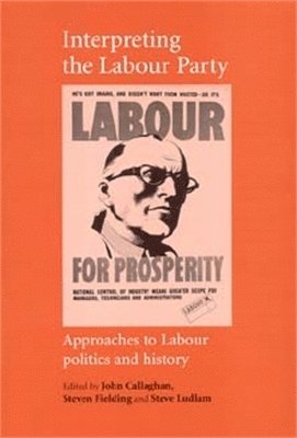 John Callaghan, Steven Fielding, Steve Ludlam - Interpreting the Labour Party, Häftad