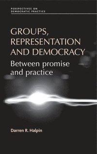 bokomslag Groups, Representation and Democracy