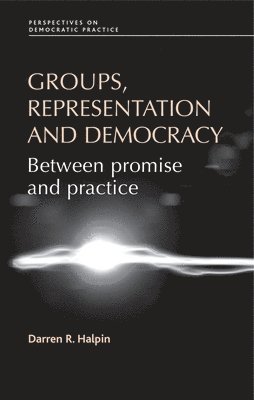 Darren Halpin - Groups, Representation and Democracy, Inbunden