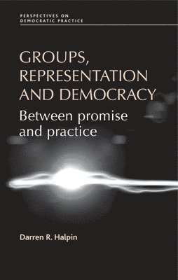 Groups, Representation and Democracy 1