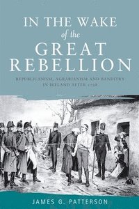bokomslag In the Wake of the Great Rebellion