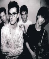 Why Pamper Life's Complexities?