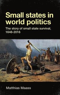 bokomslag Small States in World Politics
