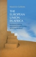 Maurizio Carbone - European Union in Africa, Inbunden