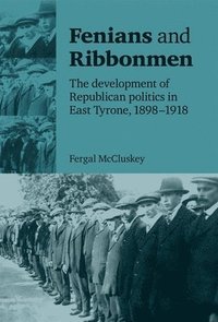 bokomslag Fenians and Ribbonmen
