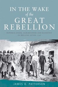 bokomslag In the Wake of the Great Rebellion