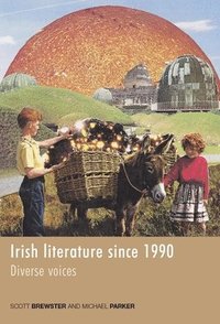 bokomslag Irish Literature Since 1990