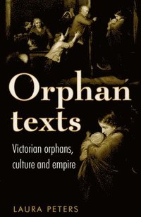 bokomslag Orphan Texts