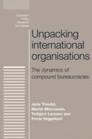 bokomslag Unpacking International Organisations
