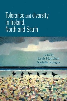 bokomslag Tolerance and Diversity in Ireland, North and South