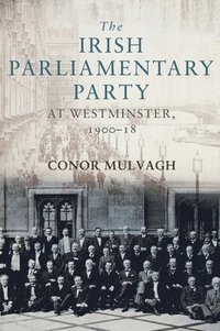bokomslag Irish Parliamentary Party at Westminster, 1900-18