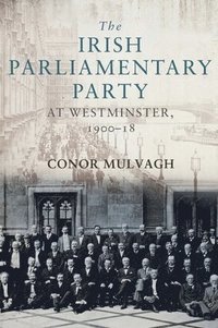 bokomslag The Irish Parliamentary Party at Westminster, 190018
