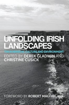 bokomslag Unfolding Irish Landscapes