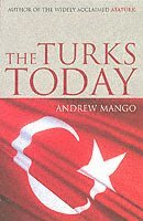 bokomslag Turks Today