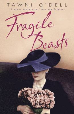 bokomslag Fragile beasts
