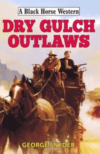 bokomslag Dry Gulch Outlaws
