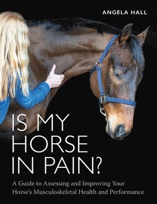 Is My Horse in Pain? 1