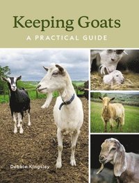 bokomslag Keeping Goats
