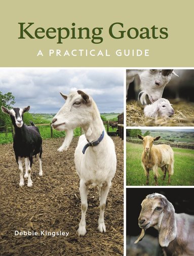 bokomslag Keeping Goats