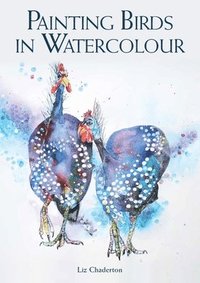 bokomslag Painting Birds in Watercolour