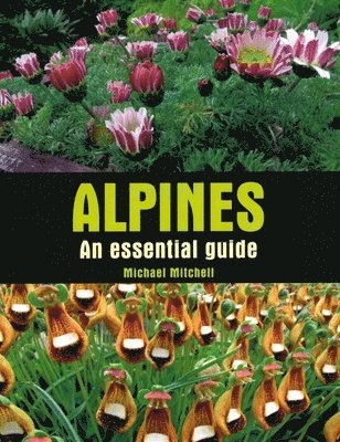 bokomslag Alpines