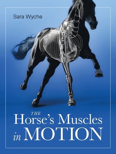 bokomslag Horse's Muscles in Motion