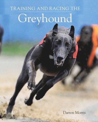 bokomslag Training and Racing the Greyhound