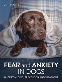 bokomslag Fear and Anxiety in Dogs