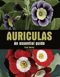 bokomslag Auriculas