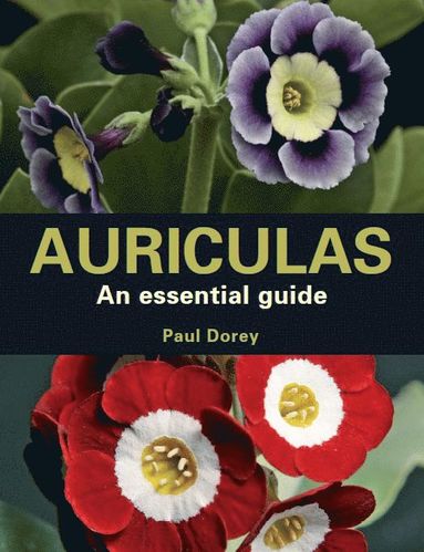 bokomslag Auriculas