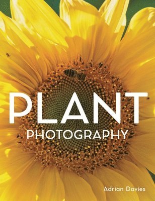 Plant Photography 1