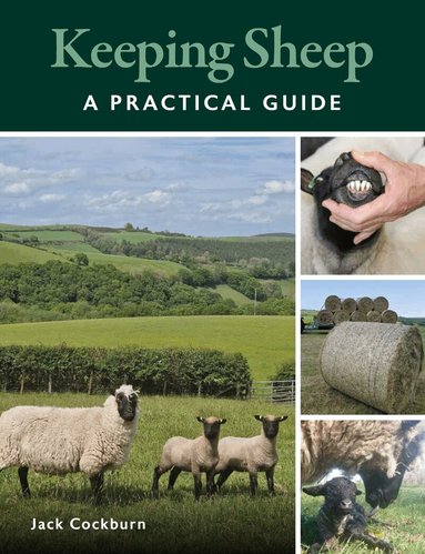 Jack Cockburn - Keeping Sheep, Häftad